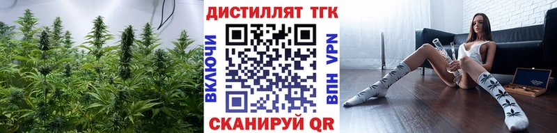 где продают Гвардейск ТГК Wax