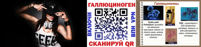 Галлюциногенные грибы Psilocybe  наркотики  Гвардейск 